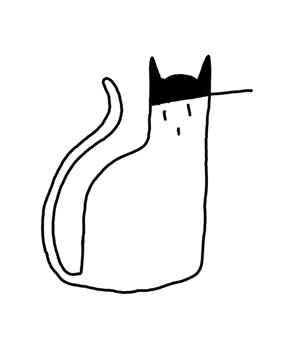 reilly, a cat